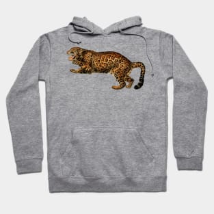 Ounce Nervous jaguar will attack Hoodie